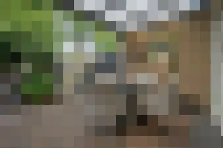 Deverbrink 19 Emmen thumbnail 30
