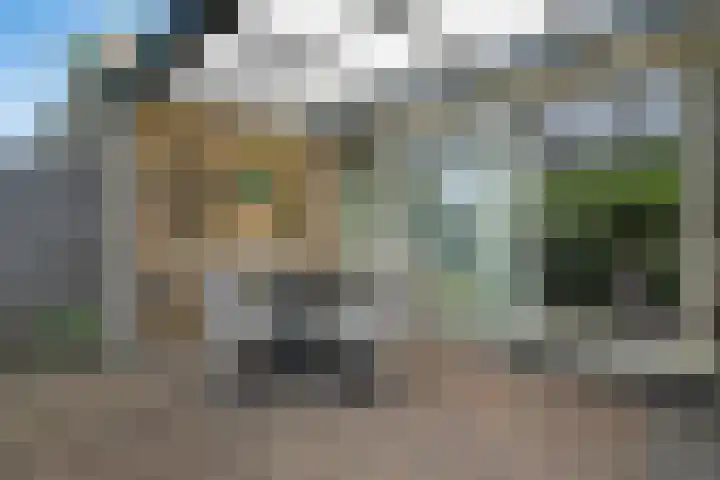 Deverbrink 19 Emmen thumbnail 31