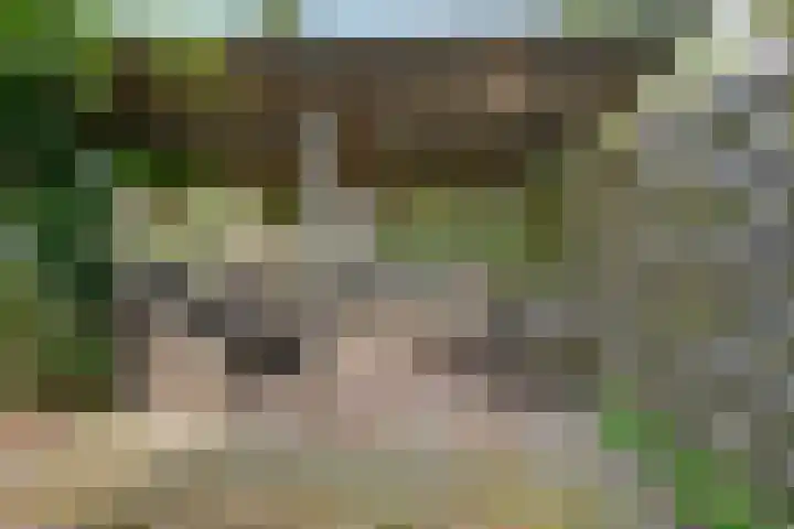 Deverbrink 19 Emmen thumbnail 33