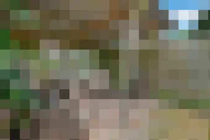 Deverbrink 19 Emmen thumbnail 34