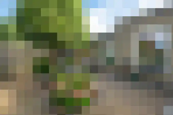 Deverbrink 19 Emmen thumbnail 38