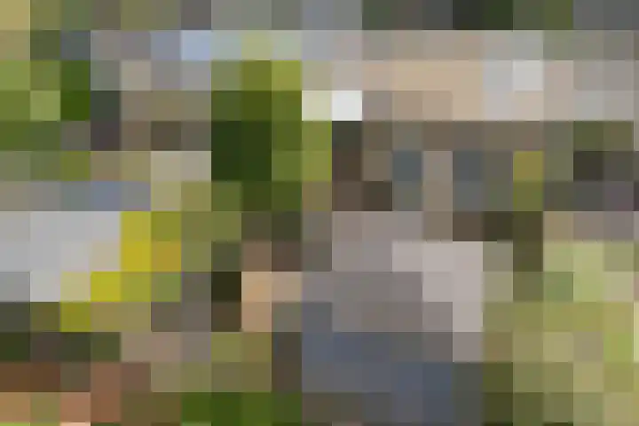 Deverbrink 19 Emmen thumbnail 39
