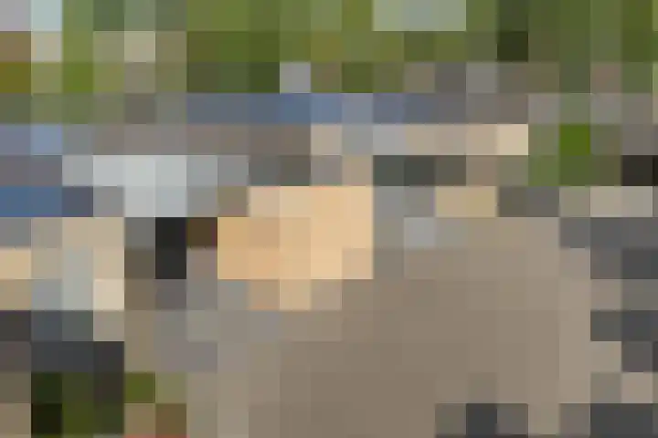 Deverbrink 19 Emmen thumbnail 41