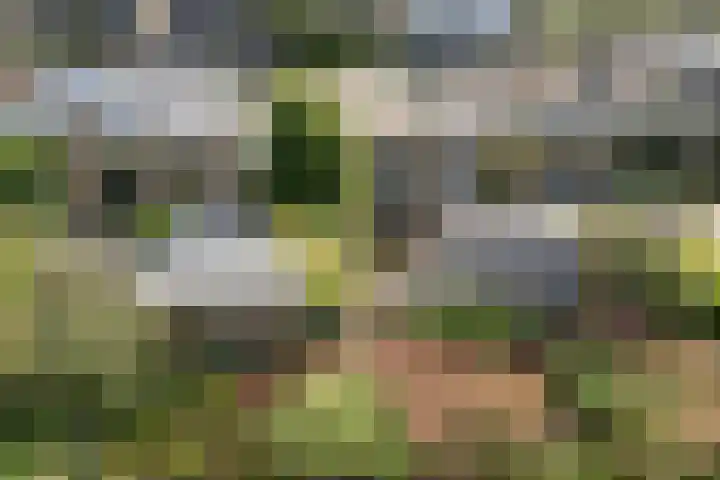 Deverbrink 19 Emmen thumbnail 48