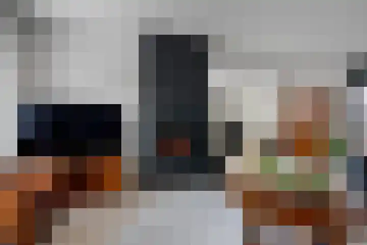 Deverbrink 19 Emmen thumbnail 6
