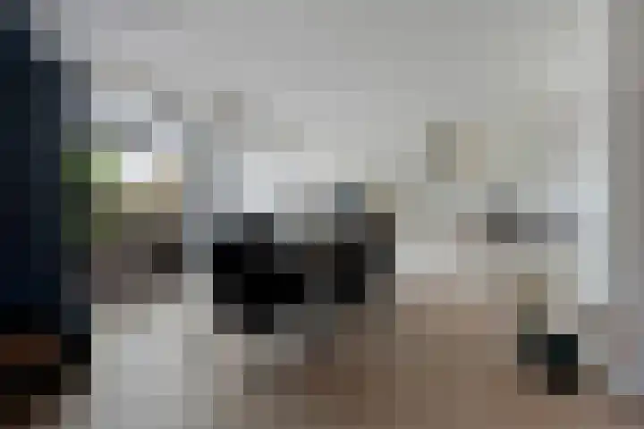 Deverbrink 19 Emmen thumbnail 8