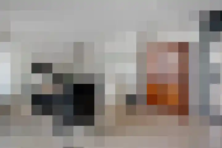 Deverbrink 19 Emmen thumbnail 9