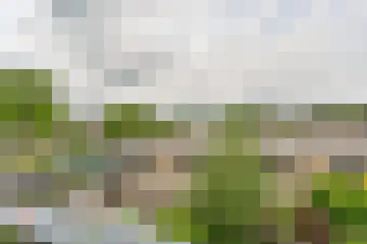 Deverbrink 59 Emmen thumbnail 67