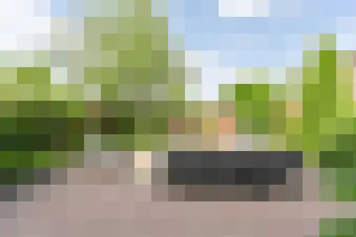 Deverbrink 59 Emmen thumbnail 73