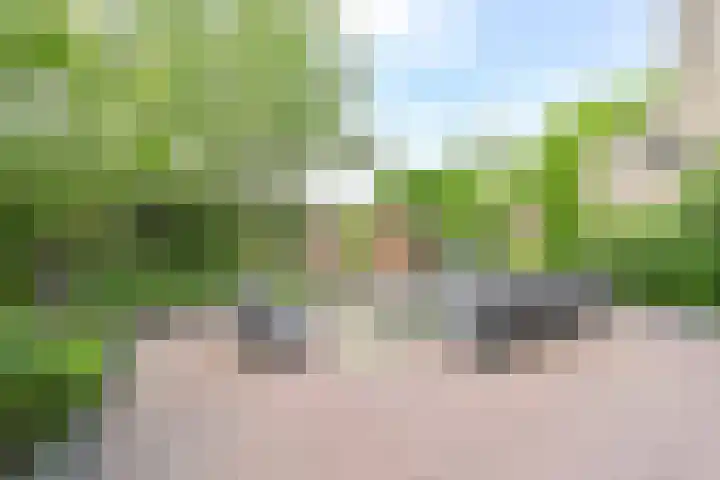 Deverbrink 59 Emmen thumbnail 74