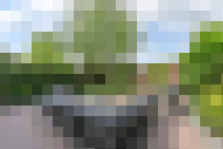 Deverbrink 59 Emmen thumbnail 75