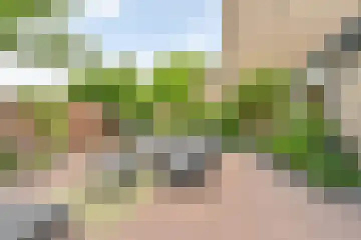 Deverbrink 59 Emmen thumbnail 76