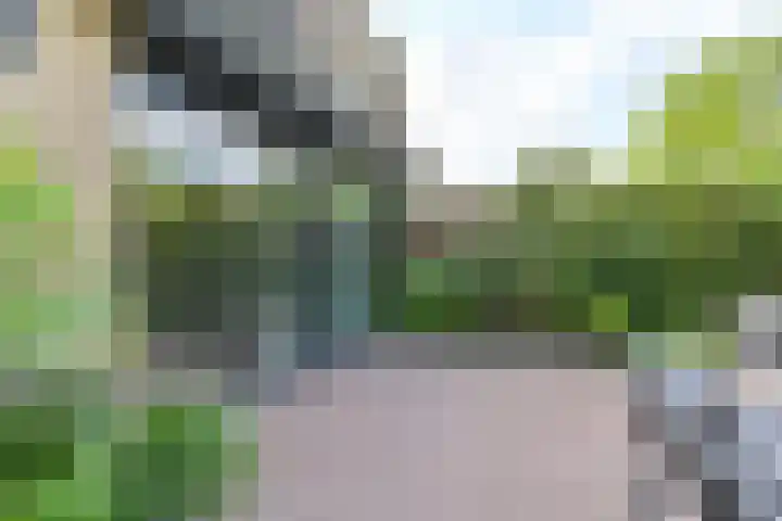 Deverbrink 59 Emmen thumbnail 77