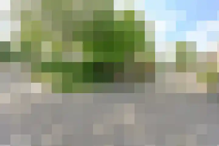 Deverbrink 59 Emmen thumbnail 78