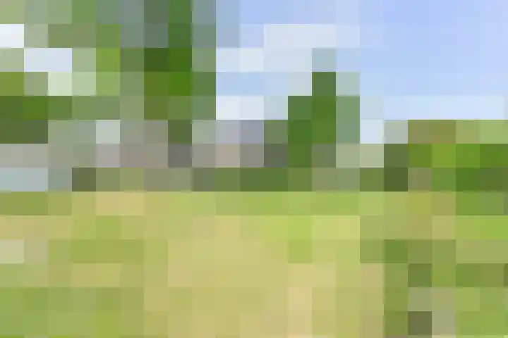 Deverbrink 59 Emmen thumbnail 80