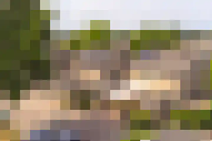 Deverbrink 59 Emmen thumbnail 83