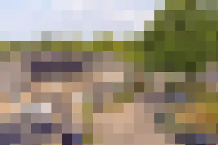 Deverbrink 59 Emmen thumbnail 86