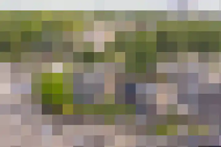 Deverbrink 59 Emmen thumbnail 87