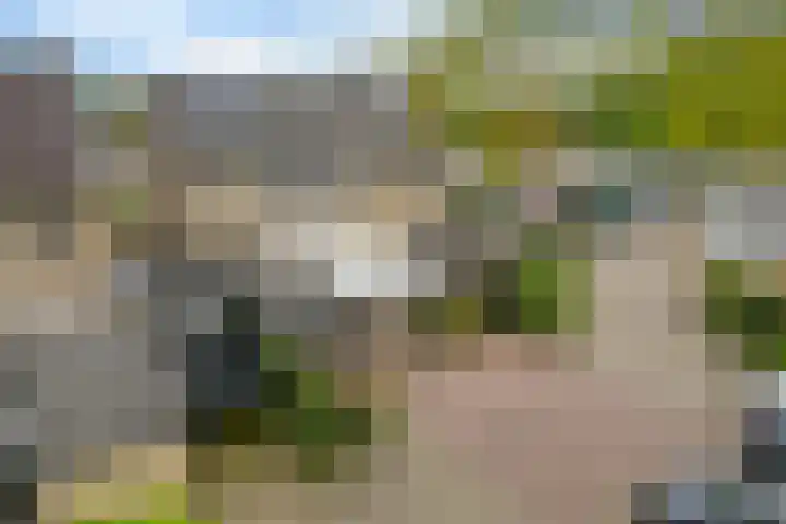 Deverbrink 61 Emmen thumbnail 28