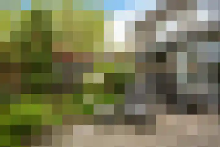 Deverbrink 61 Emmen thumbnail 34