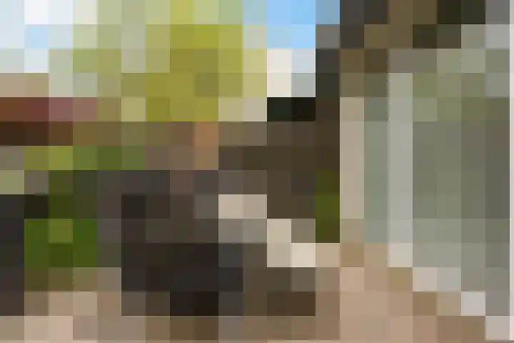Deverbrink 61 Emmen thumbnail 35
