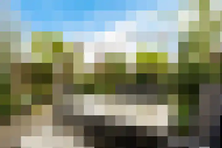Deverbrink 61 Emmen thumbnail 36