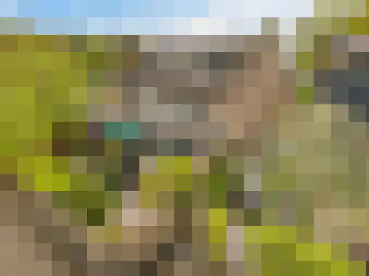 Deverbrink 61 Emmen thumbnail 42