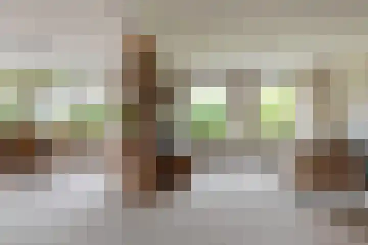 Deverbrink 75 Emmen thumbnail 17