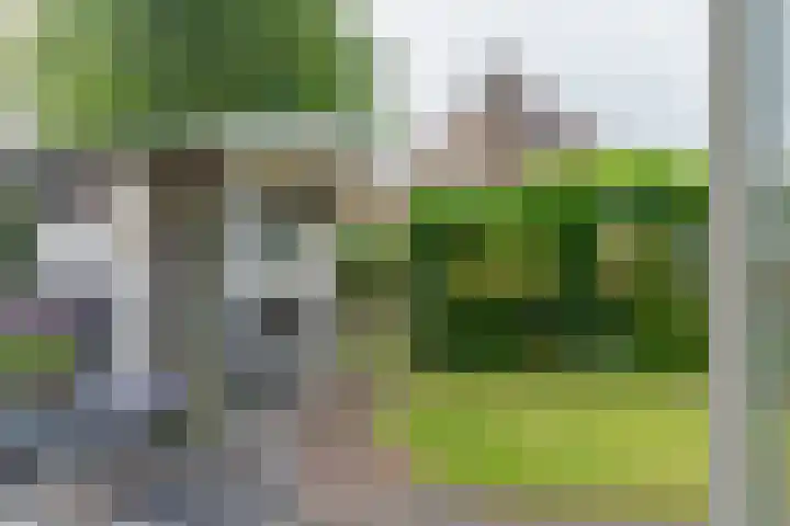 Deverbrink 75 Emmen thumbnail 31