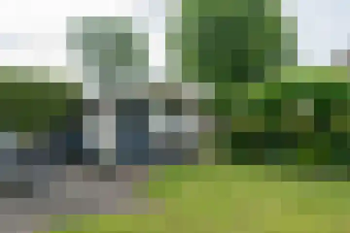 Deverbrink 75 Emmen thumbnail 32