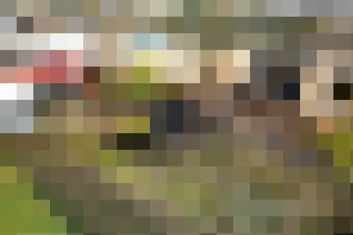 Deverbrink 87 Emmen thumbnail 28