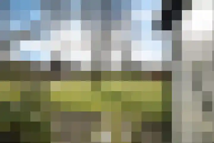 Deverbrink 87 Emmen thumbnail 36