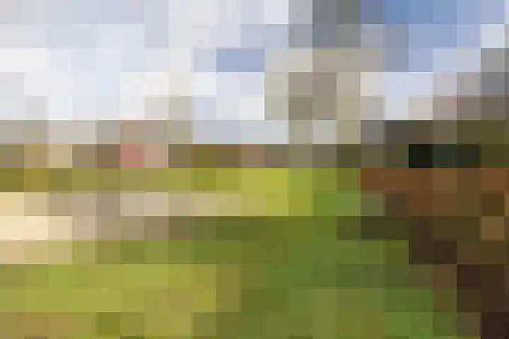 Deverbrink 87 Emmen thumbnail 39