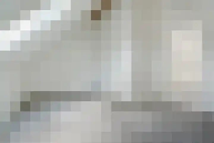 Deynenbeemd 23 Nuenen thumbnail 47