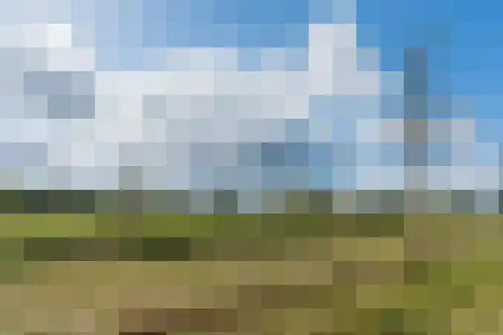Deynenbeemd 23 Nuenen thumbnail 48