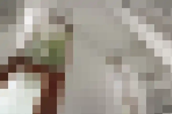 Diadeemstraat 102 Almere thumbnail 33