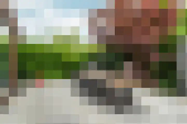 Diadeemstraat 102 Almere thumbnail 65