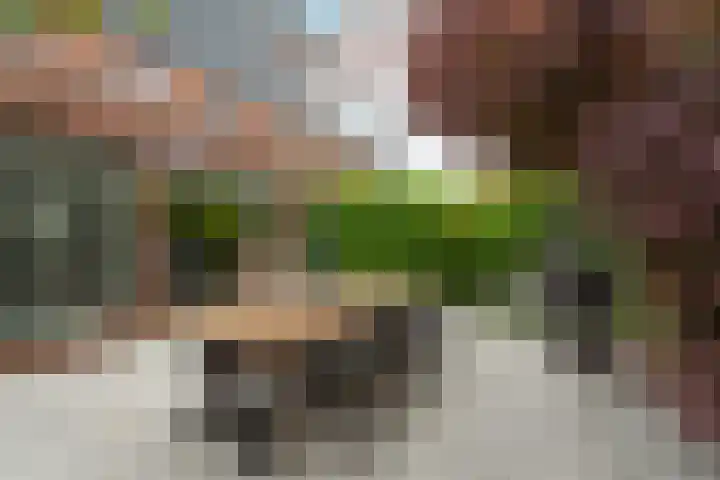 Diadeemstraat 102 Almere thumbnail 67