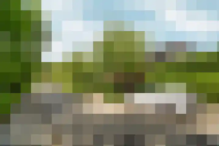 Diadeemstraat 102 Almere thumbnail 7