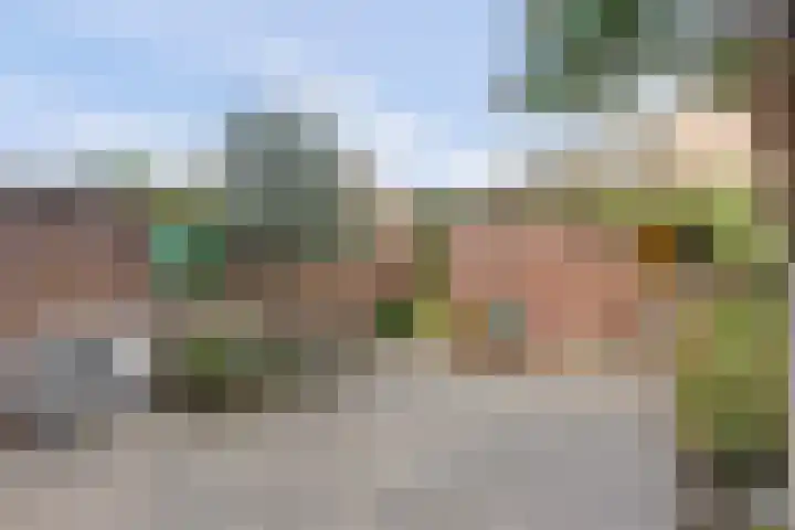 Diamant 15 's-Gravenzande thumbnail 18