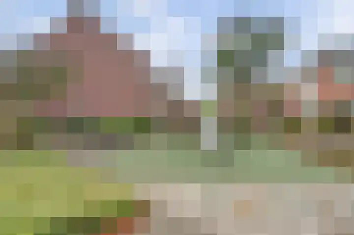 Diamant 15 's-Gravenzande thumbnail 22