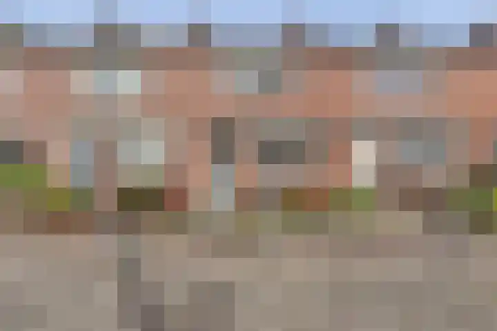 Diamant 15 's-Gravenzande thumbnail 24