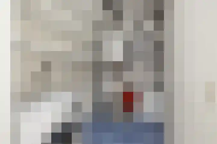 Diamant 28 Anna Paulowna thumbnail 21