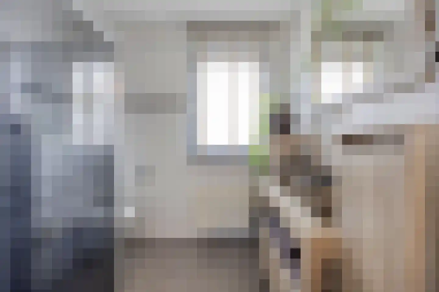 Diamant 56 Anna Paulowna thumbnail 21