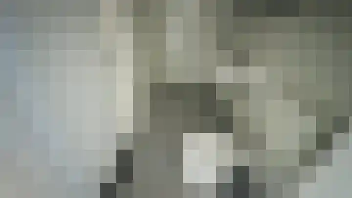 Diamantpad 7 Delft thumbnail 5