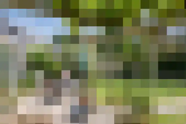 Diamantring 112 Eindhoven thumbnail 31