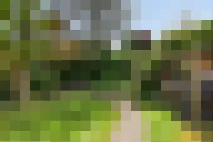 Diamantring 112 Eindhoven thumbnail 32