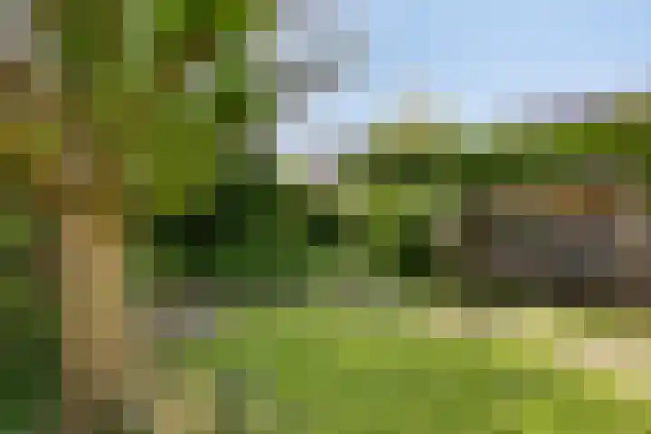 Diamantring 112 Eindhoven thumbnail 33