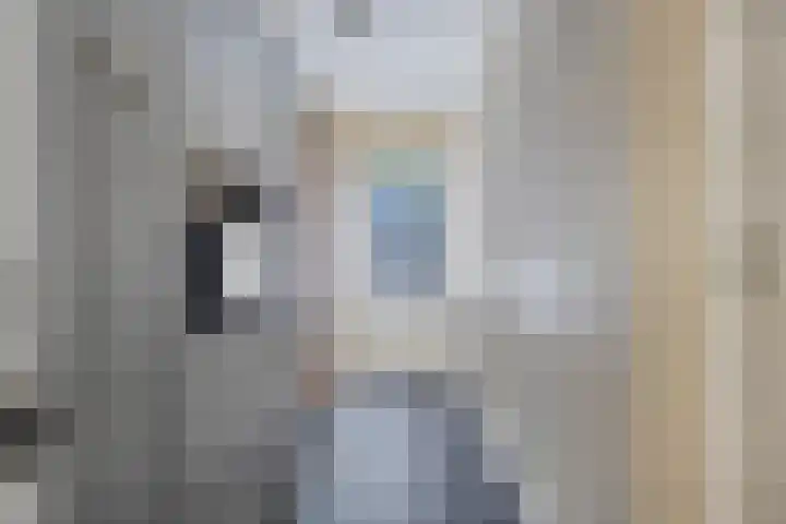 Diamantring 46 Eindhoven thumbnail 16