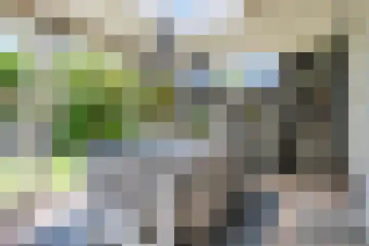 Diamantring 46 Eindhoven thumbnail 33